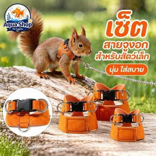 สายจูงสัตว์เล็ก สำหรับหนูแฮมสเตอร์ กระรอก เชือกจูงนุ่มเบา กันหลุด พกพาง่าย มีไซส์ S M L ชุด 3 ชิ้น