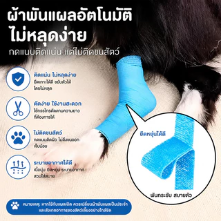 Mango ผ้าพันแผลสำหรับสัตว์เลี้ยง าพันแผลกาวในตัวไม่ทอ เทปพันแผลแบบยืดหยุ่น ผ้าพันแผล แบบยืดหยุ่น เทปยืด ขนาด 5 cm*4.5m