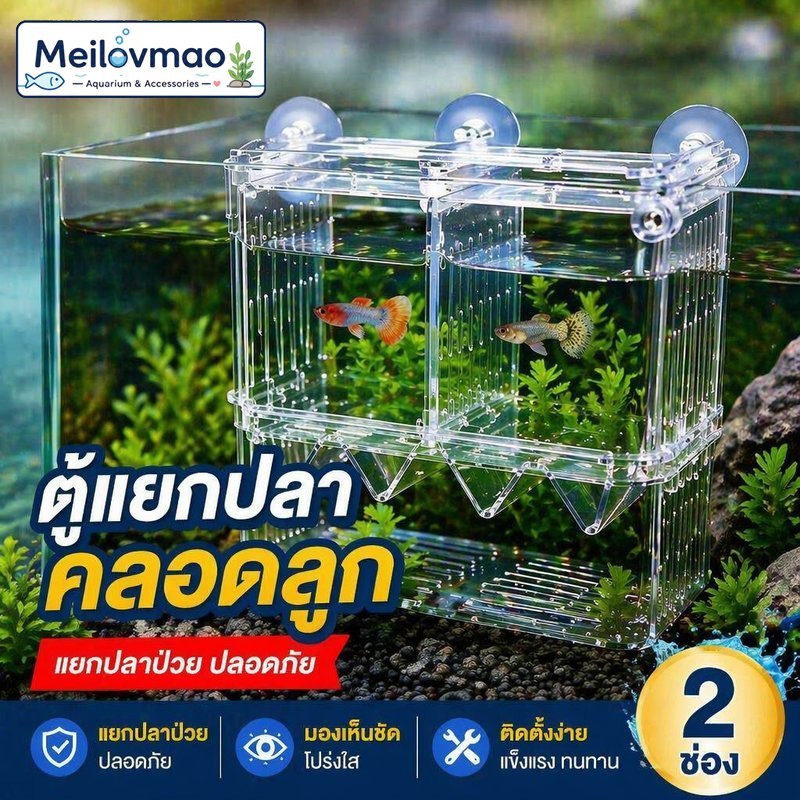 Meilovmao ตู้คลอดปลา กล่องแยกปลา อะคริลิกใส 2ช่อง กล่องกักกันปลา อนุบาลลูกปลา แยกปลาป่วย