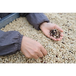 PS--Small Peaberry Full city+ Roast 1,000g. พีเบอรี่เล็กคละคั่วกลางค่อนเข้ม ส่งไว คั่วสดใหม่