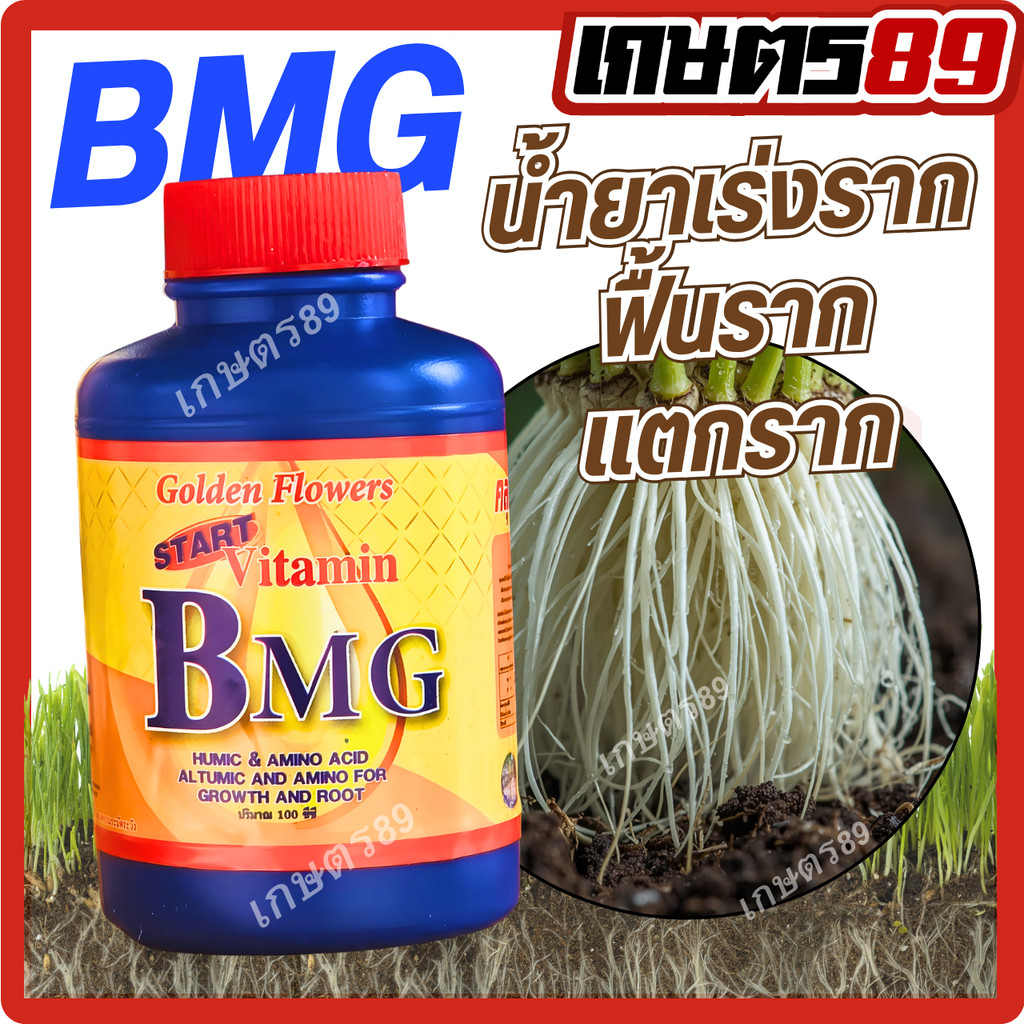 (B1!เร่งราก สูตรพิเศษ)BMG โกลด์เด้น ฟลาวเวอร์ รากเดินดี ต้นตั้งตัวไว มั่นใจคุณภาพระดับตำนาน(รดโคน พ่นทางใบ ชำราก)