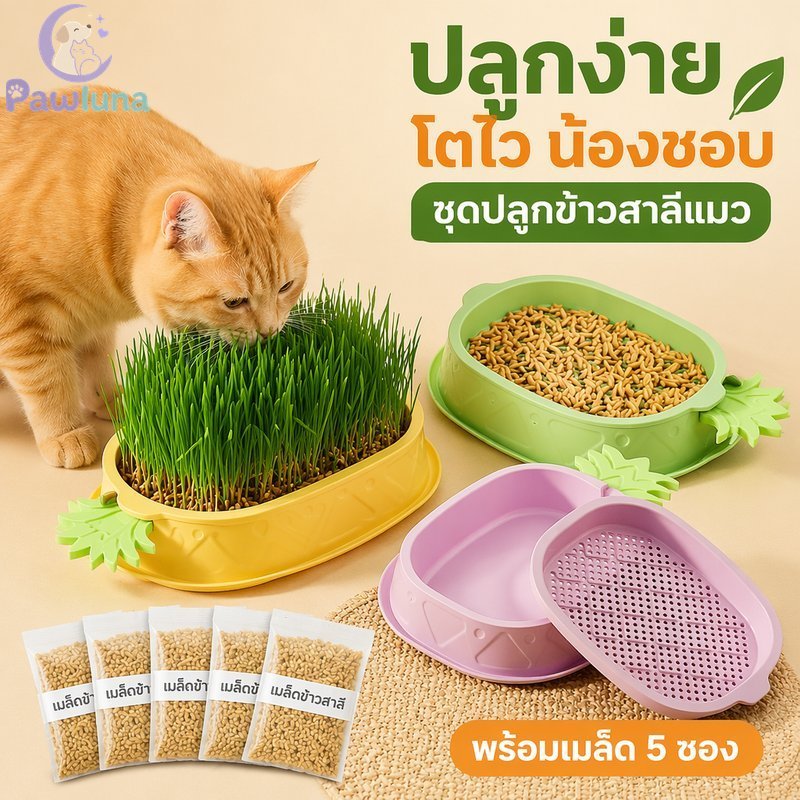 ชุดถาดปลูกหญ้าแมว เมล็ดไฮโดรโปนิกส์ออร์แกนิก 5 แพ็ค Hairball Care Pet