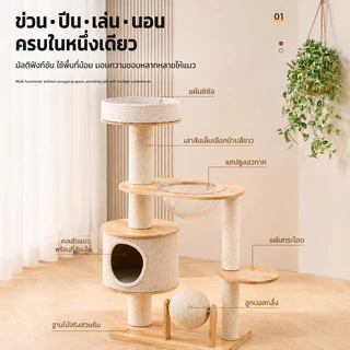 ตัวคอนโดแมวใหญ่ คอนโดแมวไม้ condoแมว โครงปีนแมว กรอบปีนแมว ไม้แมวคอนโดแมว พร้อมโดมนอนแบบใส คอนโดแมวไม้จริง คอนโดไม้