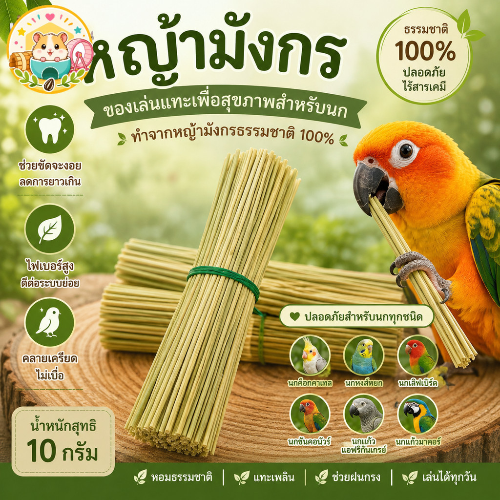 Hamster.lover หญ้ามังกรสำหรับนก 10 กรัม ของเล่นนกแทะเพลิน กลิ่นหอมธรรมชาติ ช่วยขัดปากแก้เบื่อ