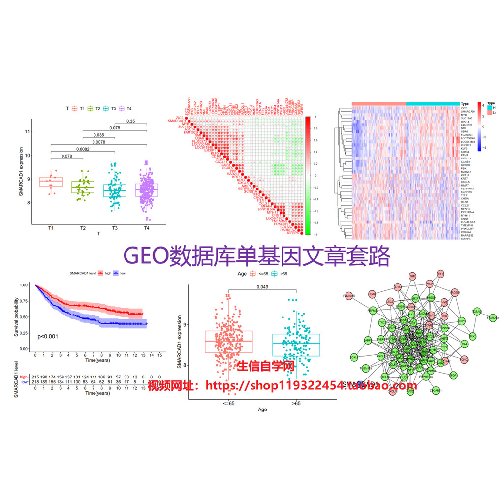 GEO Database Sheet Genetic Article Set Road Video-Self-Study Network Clinical Data Sheet Genetic Sur