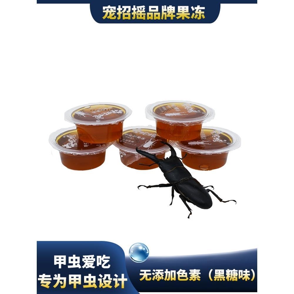 Beetle Jelly Unicorn แมลงเยลลี่อาหารตารางแมมมอธด้วงผู้ใหญ่น้ําตาลทรายแดง Stag อาหารด้วง