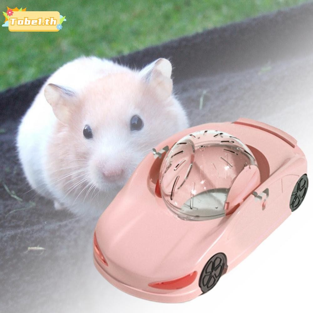 TOBE1 Hamster Sport Ball, Funny Plastic Ferret Running Ball, ล้อออกกําลังกายหนูแฮมสเตอร์ขนาดใหญ่โปร่