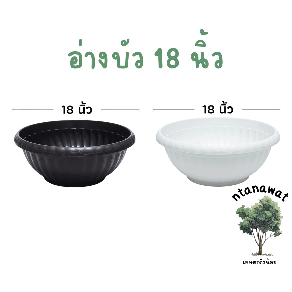 อ่างบัว ขนาด 18นิ้ว สีดำเงา กระถางต้นไม้ใบใหญ่ อ่างเลี้ยงปลา อ่างพลาสติก กระถางบัว
