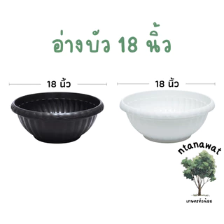 อ่างบัว ขนาด 18นิ้ว สีดำเงา กระถางต้นไม้ใบใหญ่ อ่างเลี้ยงปลา อ่างพลาสติก กระถางบัว