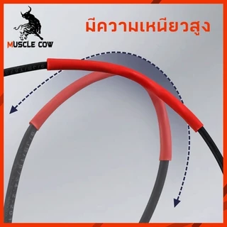 MUSCLE COW ท่อหดกันน้ำหลายสี 310/560/800 ชิ้น พร้อมกล่อง สำหรับป้องกันและจัดสายไฟ