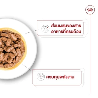Royal Canin Mini Ageing 8+ Gravy 12 ซอง (โรยัล คานิน) อาหารเปียกแบบซอง สำหรับสุนัขสูงวัยพันธุ์เล็ก อายุ 8 ปีขึ้นไป
