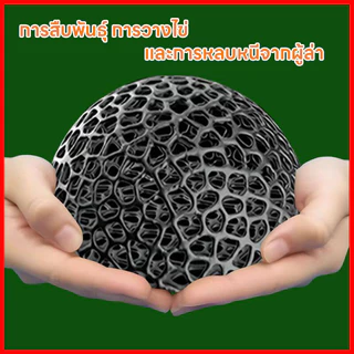 บ้านหลบปลาเล็ก ที่หลบลูกปลา จุดวางไข่ในตู้ ปกป้องลูกปลาจากปลาใหญ่ ตกแต่งตู้ ใช้กับกุ้งเล็กปลาเล็ก ครึ่งวงกลม