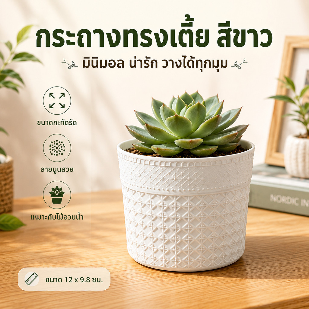 กระถางต้นไม้ ดีไซน์โมเดิร์น สวยละเอียด ดีไซน์ทันสมัย เหมาะไม้อวบน้ำวางโต๊ะทำงาน Mini Plant Pot
