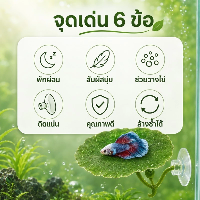 ตก แต่งตู้ปลา ใบบัวจำลอง ปล่อยให้ปลาได้พัก การวางไข่ หญ้าจำลอง ทำให้ตู้ปลาสวยขึ้น thumbnail 5