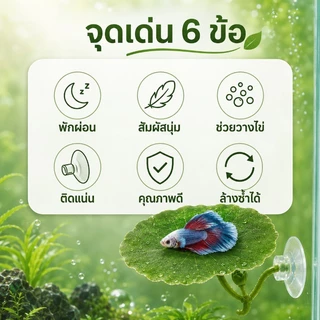 ตก แต่งตู้ปลา ใบบัวจำลอง ปล่อยให้ปลาได้พัก การวางไข่ หญ้าจำลอง ทำให้ตู้ปลาสวยขึ้น