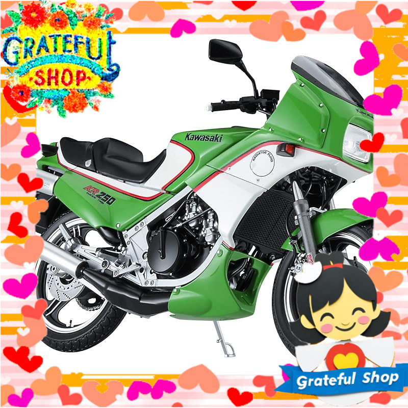 Hasegawa 1/12 Motorcycle Series Kawasaki KR250 (KR250A) Plastic Model BK12[Direct from Japan]
