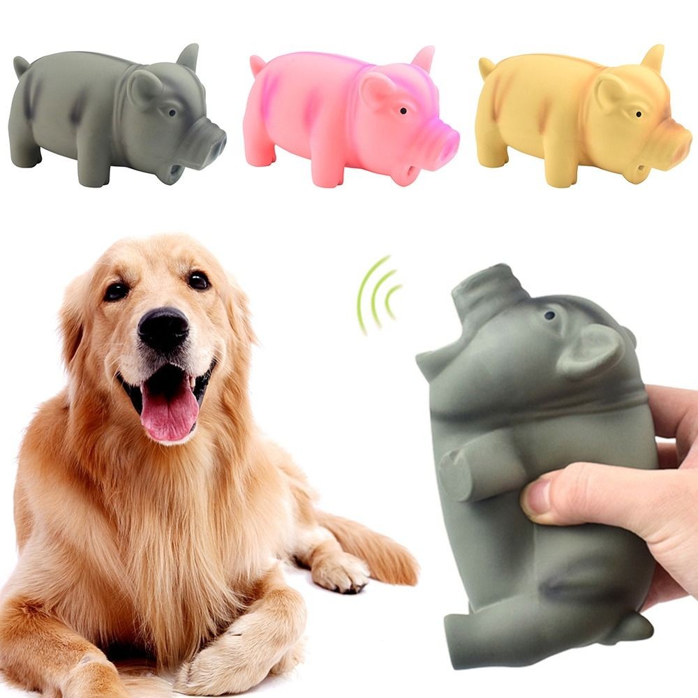 ยางเสียงหมู Grunting Squeak Latex สัตว์เลี้ยง Chew ของเล่นสําหรับสุนัข Squeaker Chew การฝึกอบรมลูกสุนัขอุปกรณ์ผลิตภัณฑ์สําหรับสัตว์เลี้ยง