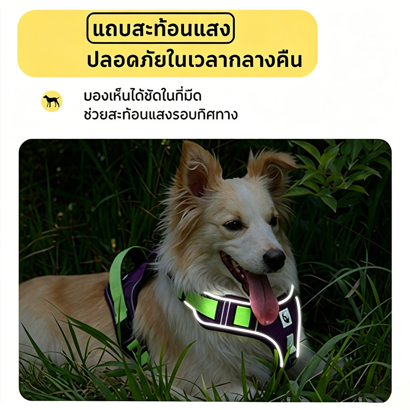 สายรัดอกสุนัข V-Shape กดใส่-ถอด 3วิ ไม่บีบคอ ระบายร้อน รูปที่ 5