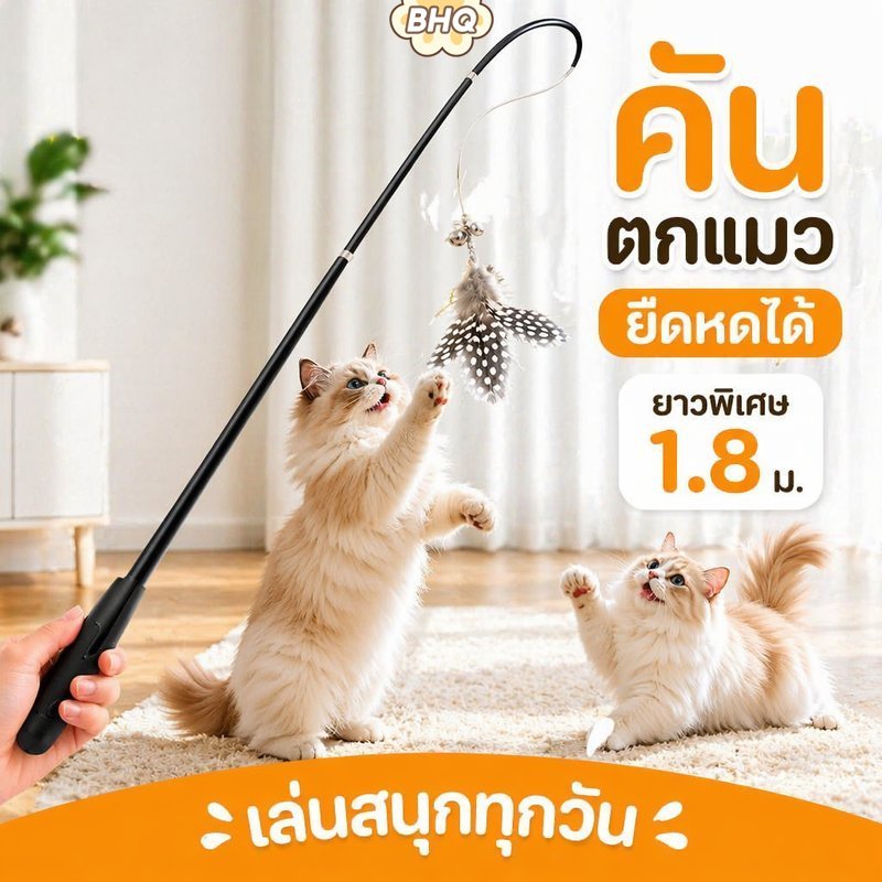 BHQ Cat Teaser Wand ของเล่น Interactive Retractable ด้ามยาวเสายาวพิเศษสําหรับเล่นออกกําลังกายในร่ม