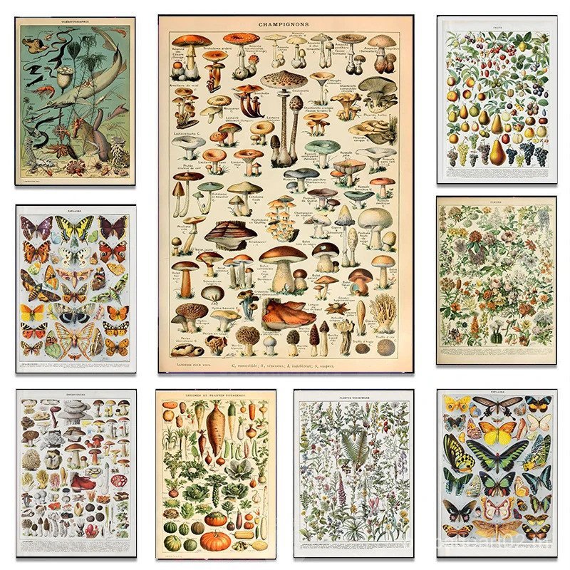 Vintage Classic Wall Art พืชเห็ดยาดอกไม้แมลงผีเสื้อผักฟักทองแครอทผ้าใบน้ํามันโปสเตอร์และพิมพ์ KNLA