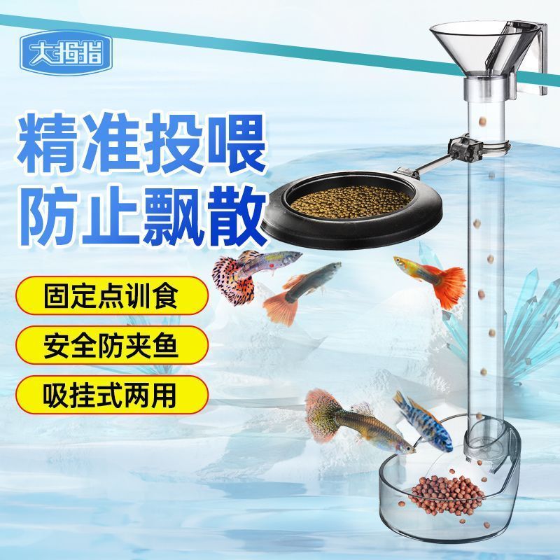 Fish Tank Feeder Fish Feeder Handy Tool Feeding Ring Feeder Fixed Fish Feeder Feeding Tube Feeding F