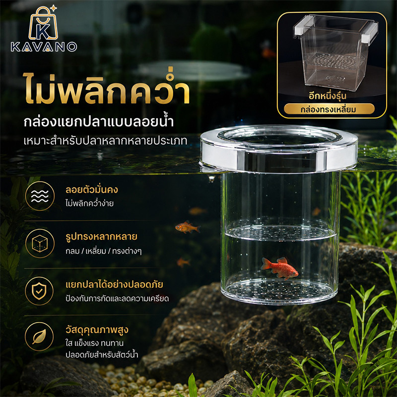 กล่องแยกปลา กล่องอนุบาลลูกปลา กล่องคลอดปลา ป้องกันลูกปลา เพิ่มอัตรารอดชีวิตของลูกปลา ป้องกันปลาใหญ่กัดลูกปลา