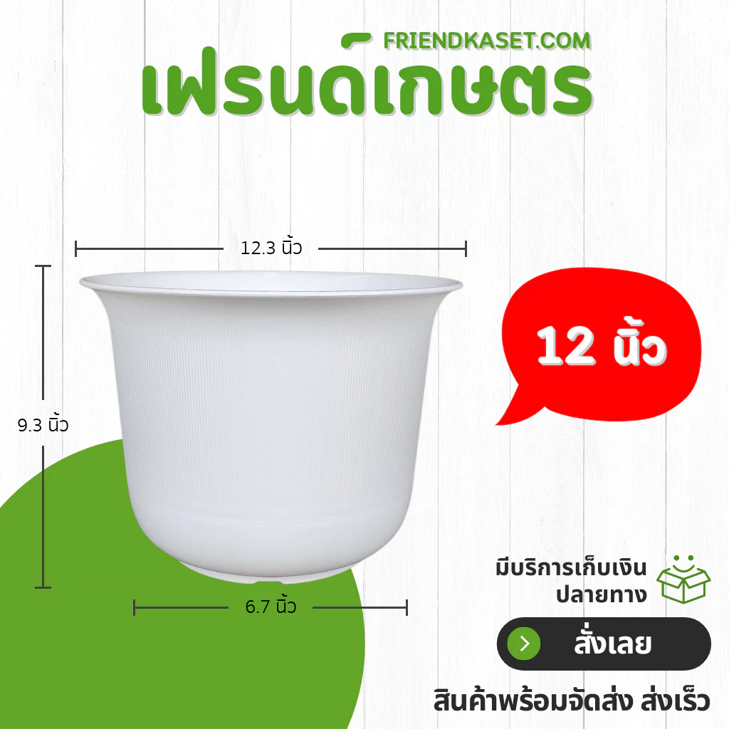 กระถาง กระถางต้นไม้ มินิมอล ถ้วยจีน ขนาด 12 นิ้ว สีขาว Bundle 5 ใบ ชิ้น อัน