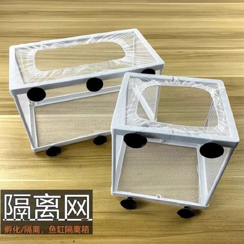 Fish Fish Fish Tank Isolation Net Betta Incubator Box Breeding Box Suspended Protection Small Fish A