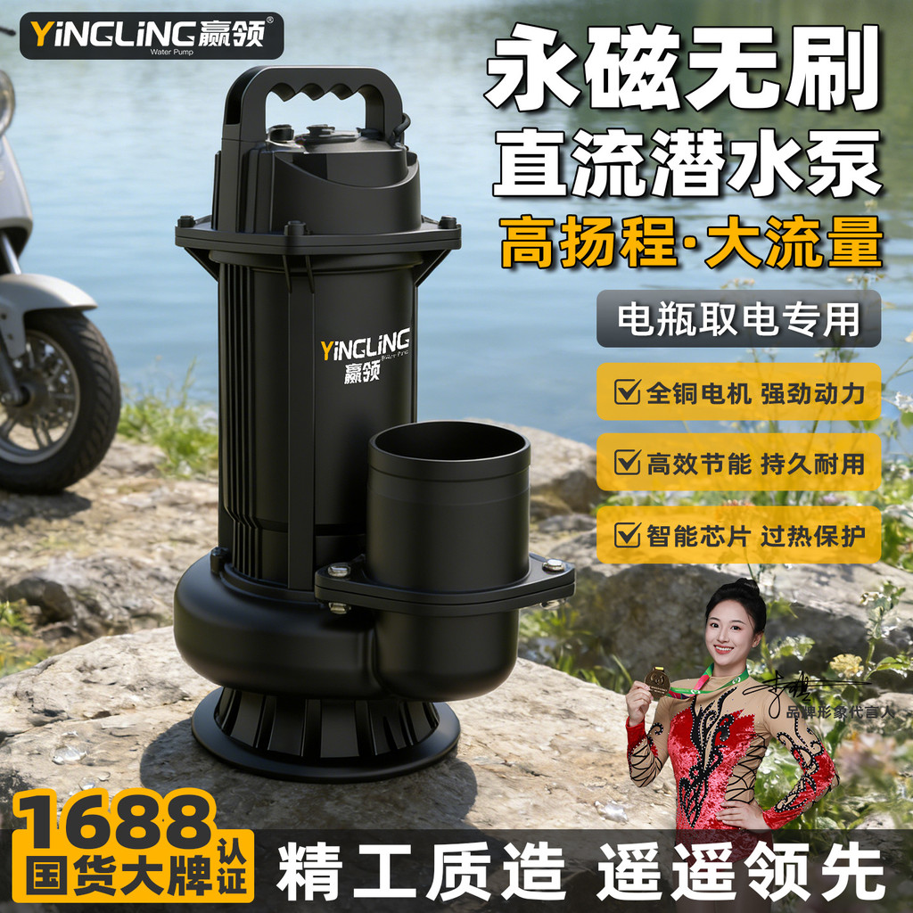 Win Collar Brushless DC Submersible Pump 24V48V60V72V แบตเตอรี่รถปั๊มน้ําในครัวเรือนชลประทานการเกษตร
