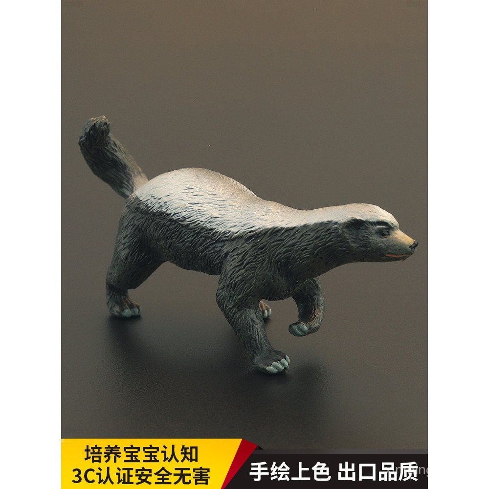 เด็กจําลองสัตว์รุ่น Badger Weasel Mammal