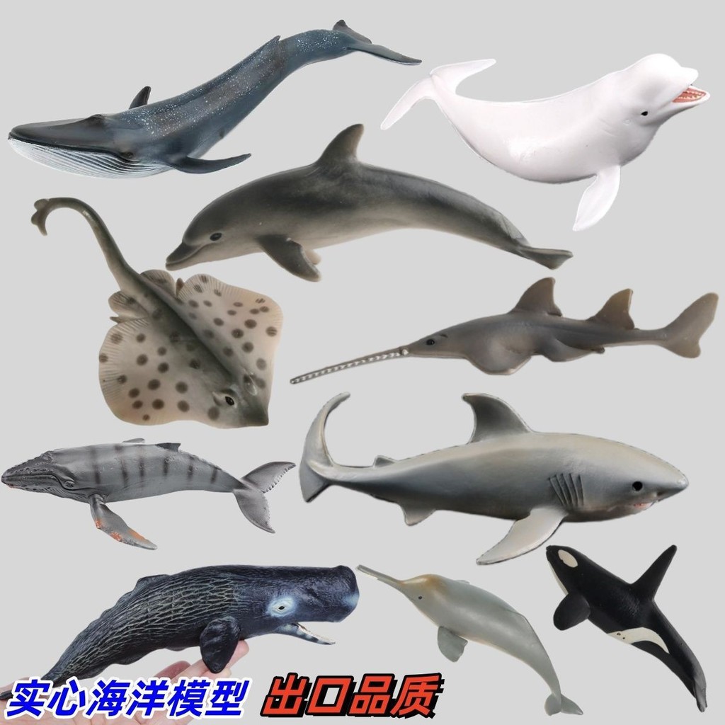 เด็กจําลอง Killer Whale ของเล่น Killer Whale Shark Spread Fragrant Whale ฟันเลื่อย Underwater World 