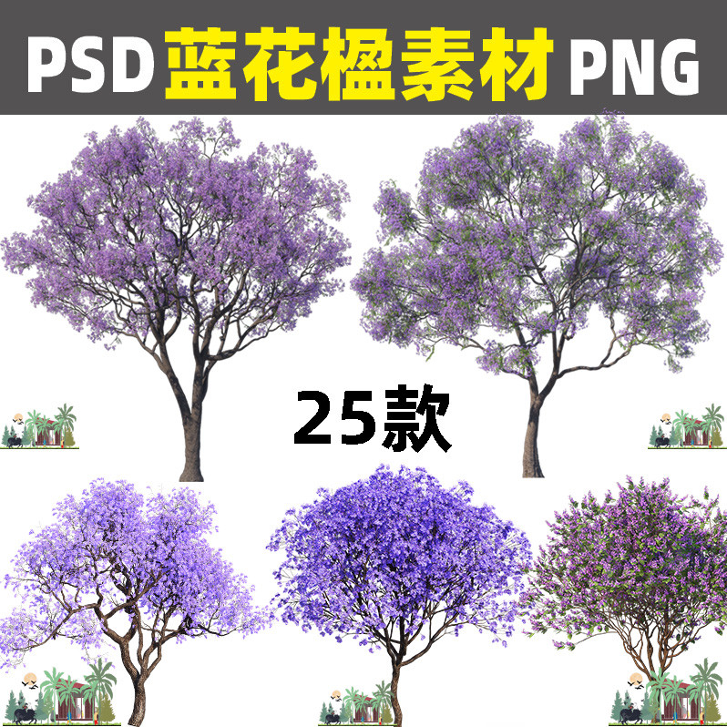 Z171 Garden PS HD Jacaranda PNG ดึงฟรีภาพผลปลาย PSD วัสดุชั้น procreate