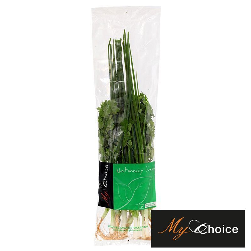 มายช้อยส์ชุดต้นหอมผักชี 30ก My Choice Coriander Spring Onion 30g [หมายเลขบาร์โค้ด 0000021880964 ]