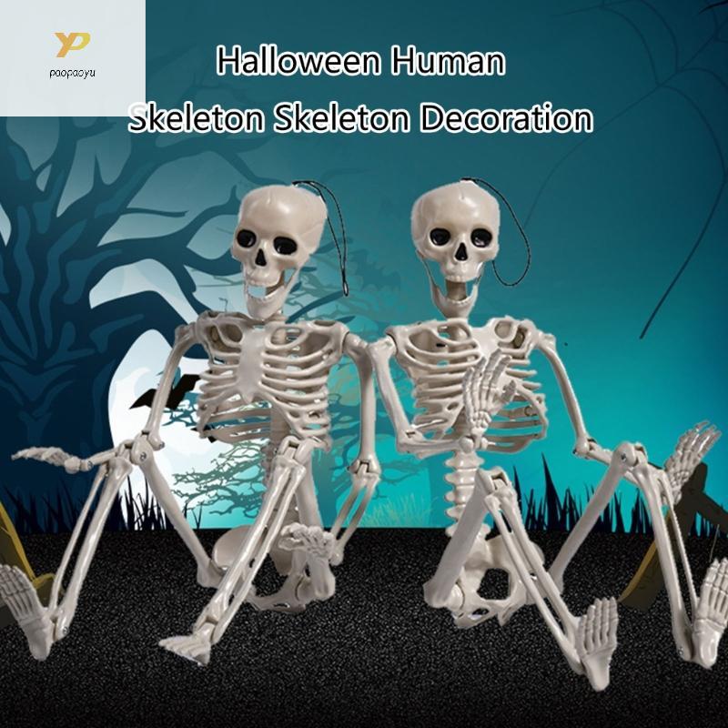 PPY ฮาโลวีนตกแต่ง Full Body Skeleton พร้อม Posable Limbs สําหรับ Haunted House Display และ Party ตกแ