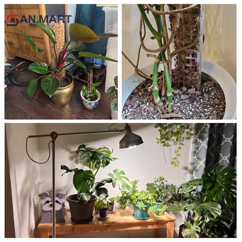 AN.MART 2/4/6 ชิ้นพืชปีนเขาน้ํา Moss คอลัมน์ในร่ม Moss POLE พืชเสาพลาสติกสําหรับ Sphagnum สนับสนุนกร