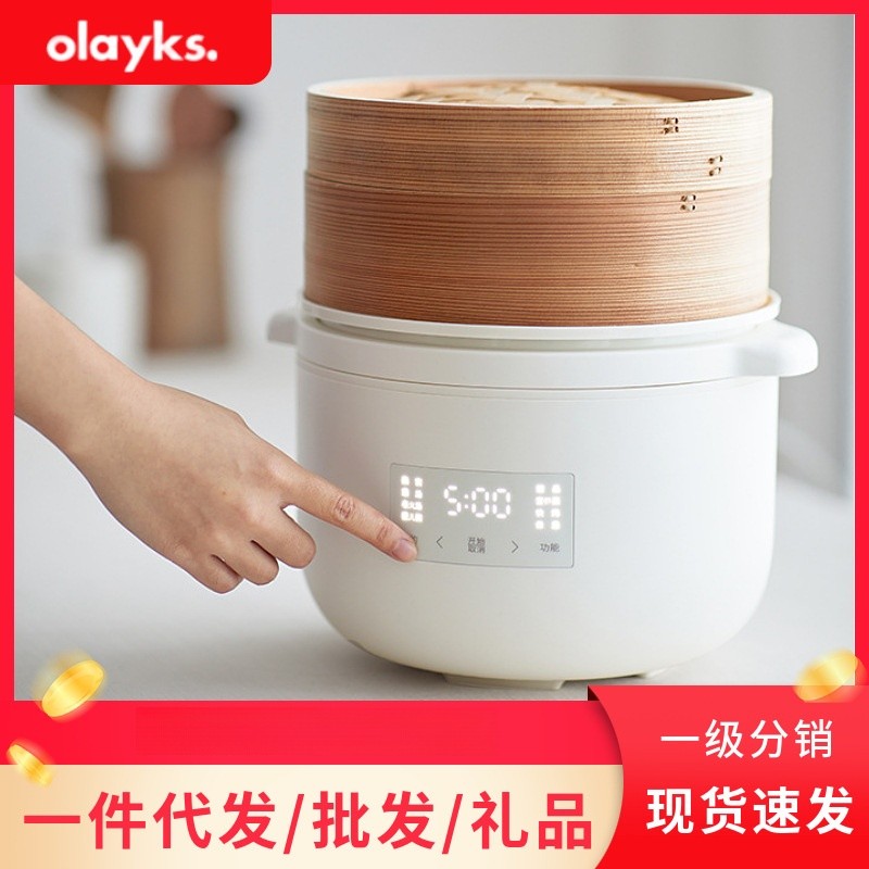 Olayks olayks หม้อสตูว์ไฟฟ้าหม้อโจ๊กเด็กอาหารเสริมหม้อ bb ซุปรังนกหม้อสตูว์ไฟฟ้าสตูว์กันน้ํา