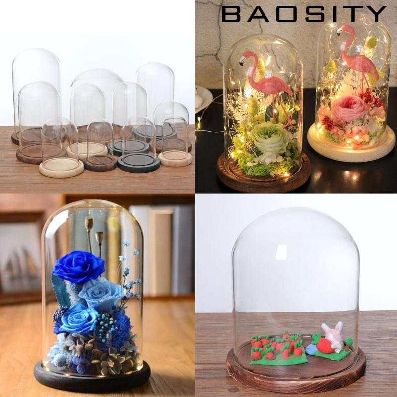 [Baosity] Glass Cloche Dome สำหรับทำ Terrarium ตกแต่งบ้าน