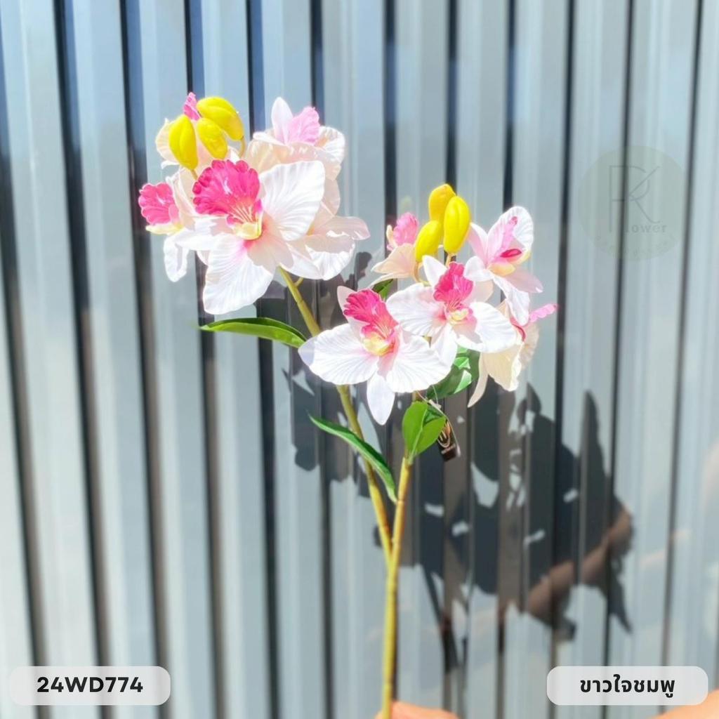 กล้วยไม้ 2 กิ่ง 11 ดอก หน้าดอก 10-12 cm. สูง 68 cm. ราคา ถูกที่สุด ดีลบีเคเค แกลเลอรีภาพที่ 9