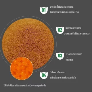 อาหารปลา อาร์ทีเมียแห้งโปรตีนสูง60เปอร์เซ็นต์เม็ดจมละเอียดทอดปลากัดปลาเขตร้อน