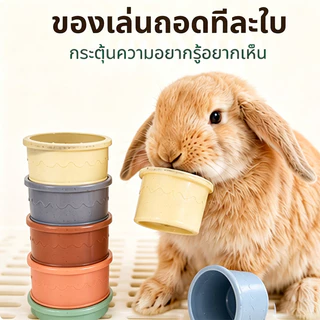ของเล่นกระต่าย ของใช้กระต่ายเล่นสนุก ถ้วยซ้อนสําหรับกระต่าย ปลดปล่อยพลังงาน ปลอดภัย เสริมพัฒนาการ