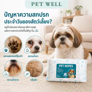 PETWELL ทิชชู่เปียกสัตว์เลี้ยง (1 แพ็ค/80 แผ่น) ผ้าเปียกแมว ผ้าเปียกหมา สูตรอ่อนโยนพิเศษ ปลอดภัย เส้นใยธรรมชาติ100%