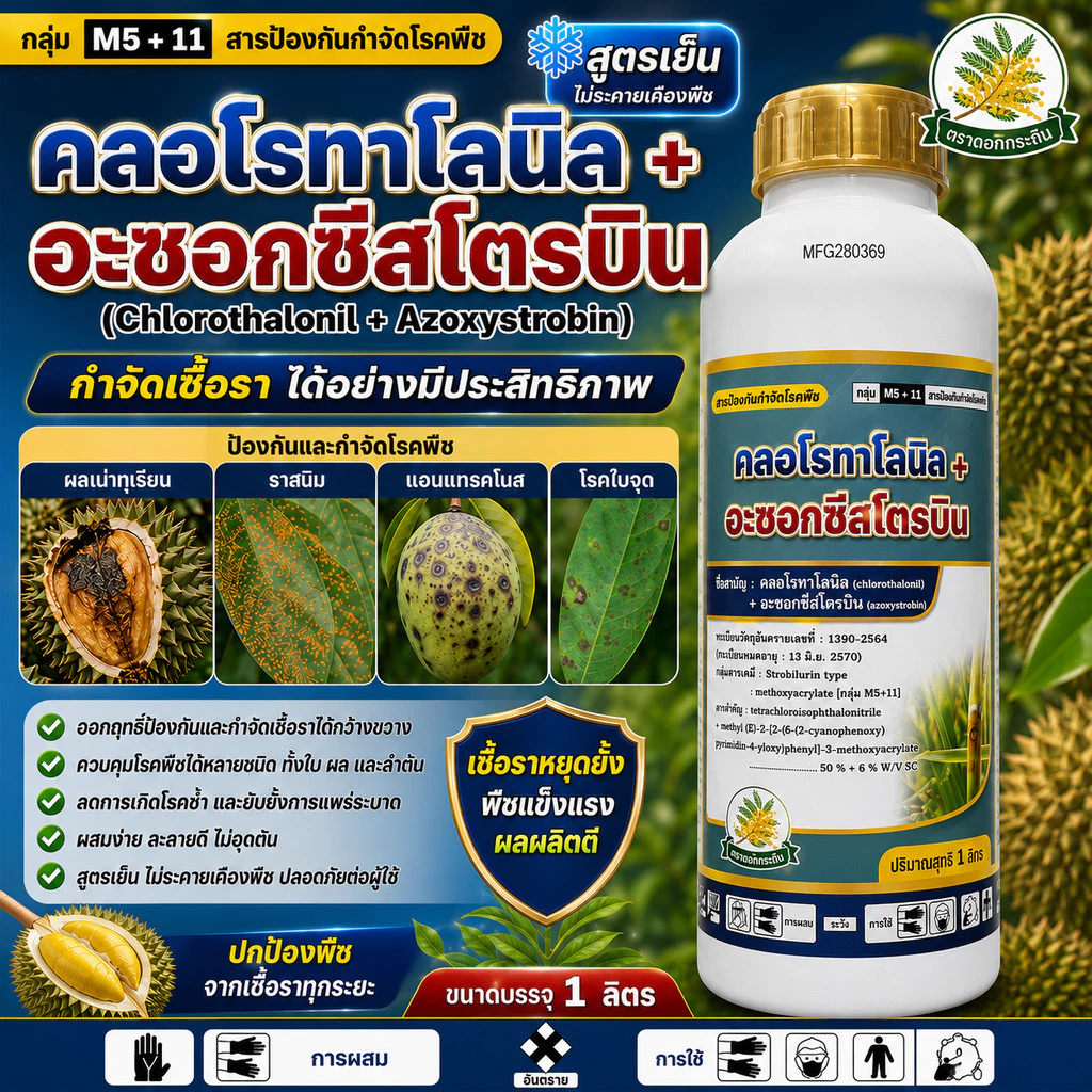 คลอโรทาโลนิล+อะซอกซีสโตรบิน ใช้ป้องกันกำจัดโรคพืชหลายชนิด ราน้ำค้าง ราสนิม ราดำ ใบจุด แอนแทรคโนส