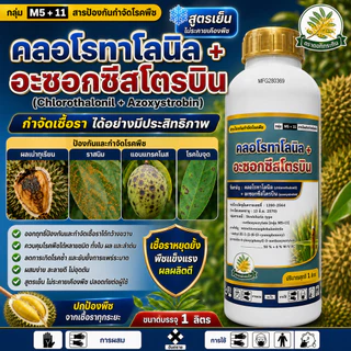 คลอโรทาโลนิล+อะซอกซีสโตรบิน ใช้ป้องกันกำจัดโรคพืชหลายชนิด ราน้ำค้าง ราสนิม ราดำ ใบจุด แอนแทรคโนส