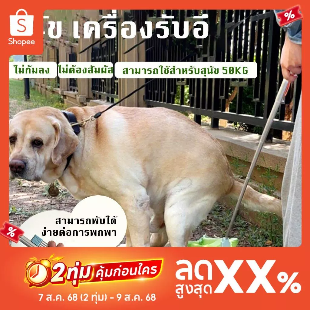 สุนัขสัตว์เลี้ยงออกไปเก็บถุงขยะที่พับเก็บได้ ถุงขยะขี้หมา เครื่องมือหนีบกระดาษสําหรับสุนัข