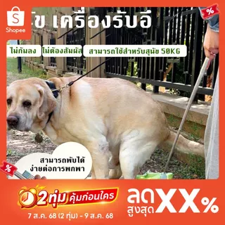 สุนัขสัตว์เลี้ยงออกไปเก็บถุงขยะที่พับเก็บได้ ถุงขยะขี้หมา เครื่องมือหนีบกระดาษสําหรับสุนัข