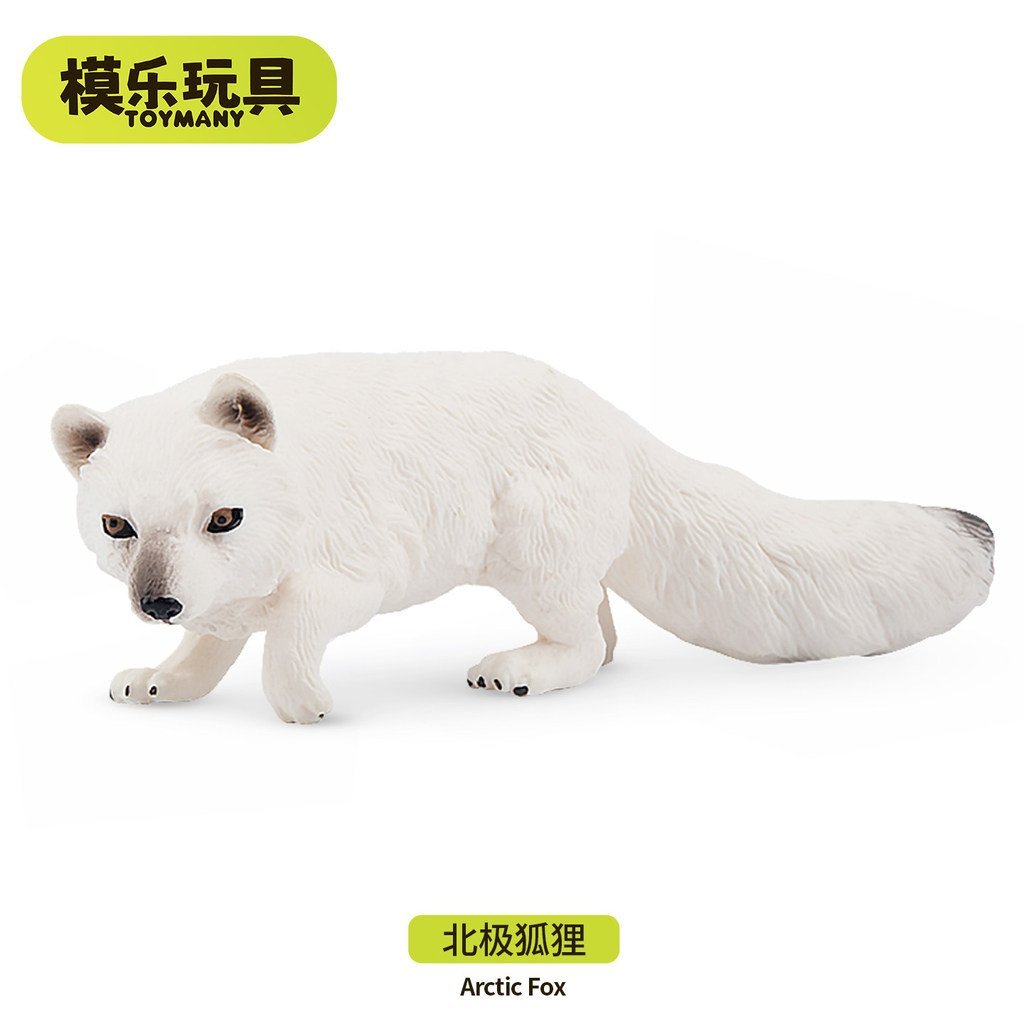 ของเล่นตุ่น TOYMANY Polar Series จําลองสัตว์ Fox Arctic Fox White Fox ของเล่นเด็ก