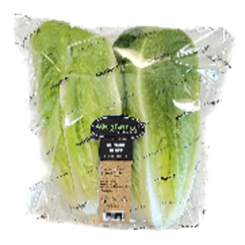 แอสกรีนผักกาดหอมโรเมนฮาร์ท 300กรัม Aqua Green Romaine Heart Lettuce 300g.