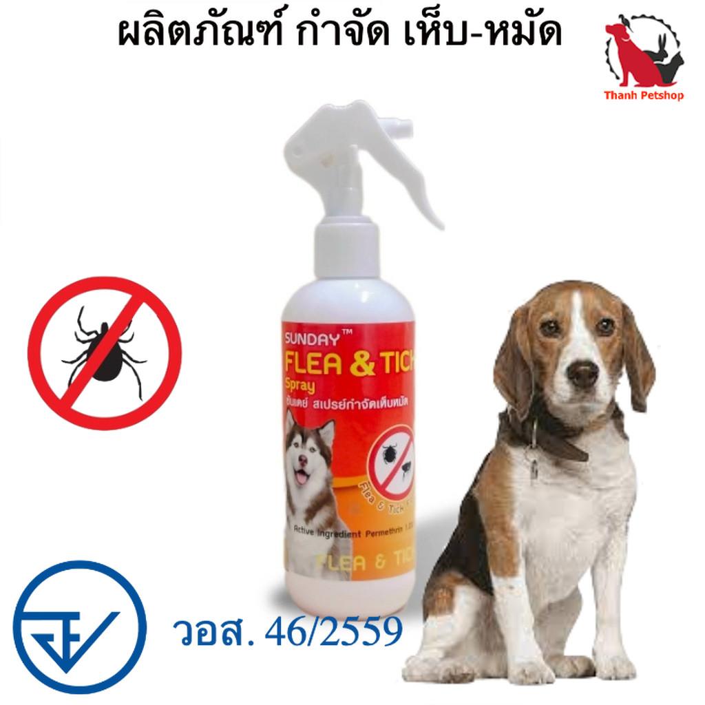 สเปรย์กำจัดเห็บหมัด สุนัข Sunday Flea & Tick Spray อย. วอส. 46/2559