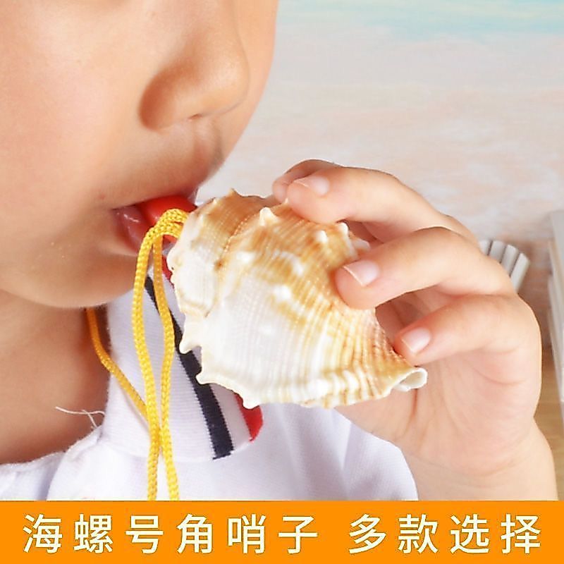 Conch นกหวีดชายหาดแบนหนามขนาดใหญ่ Conch นกหวีดธรรมชาติ Seaside ของเล่นเด็กแหล่ง Conch นกหวีด/z6.30