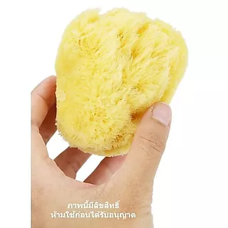 โฉมใหม่Pureenเพียวรีนฟองน้ำธรรมชาติ 100% Natural Sea Sponge Fine Silk